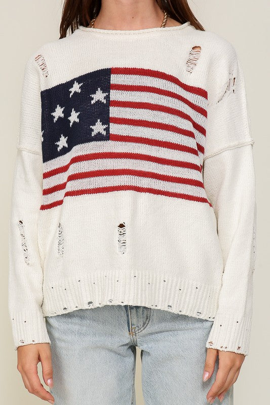 Distressed USA Logo Sweater - lolaluxeshop