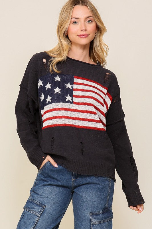 Distressed USA Logo Sweater - lolaluxeshop