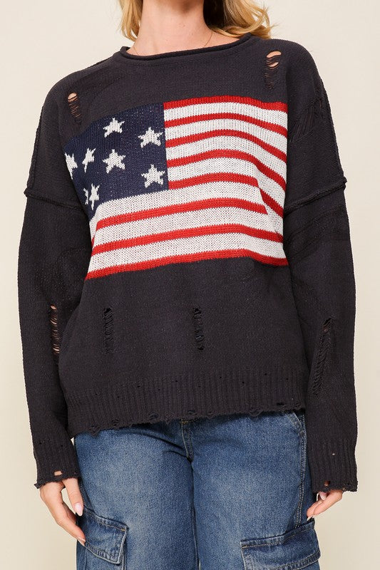 Distressed USA Logo Sweater - lolaluxeshop