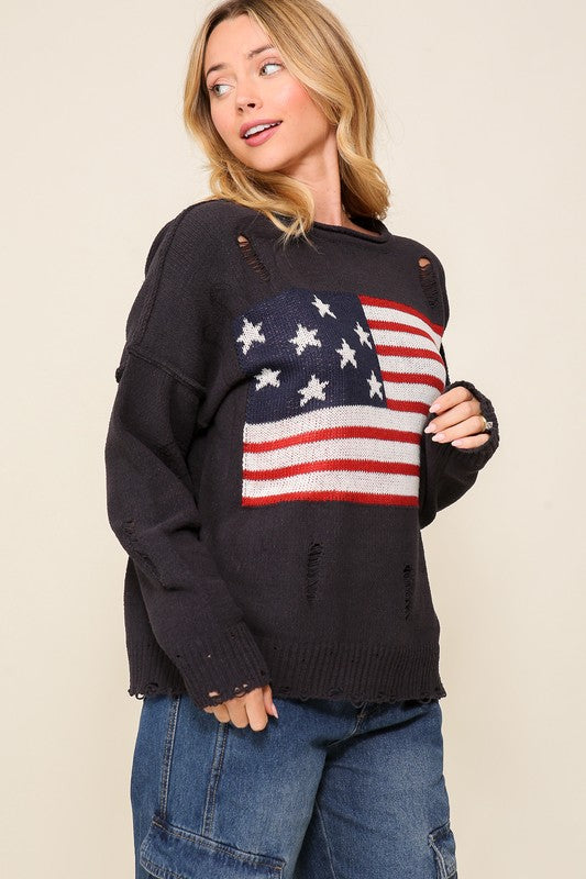 Distressed USA Logo Sweater - lolaluxeshop