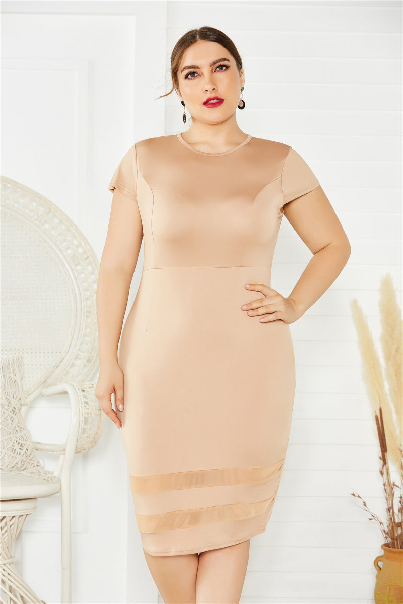 Plus Size Mesh Detail Midi Dress - LOLA LUXE