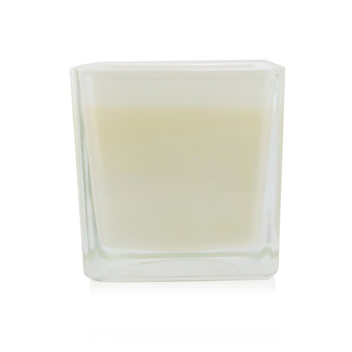 ACQUA DELL'ELBA - Scented Candle - Limonaia Di Sant'Andrea - lolaluxeshop