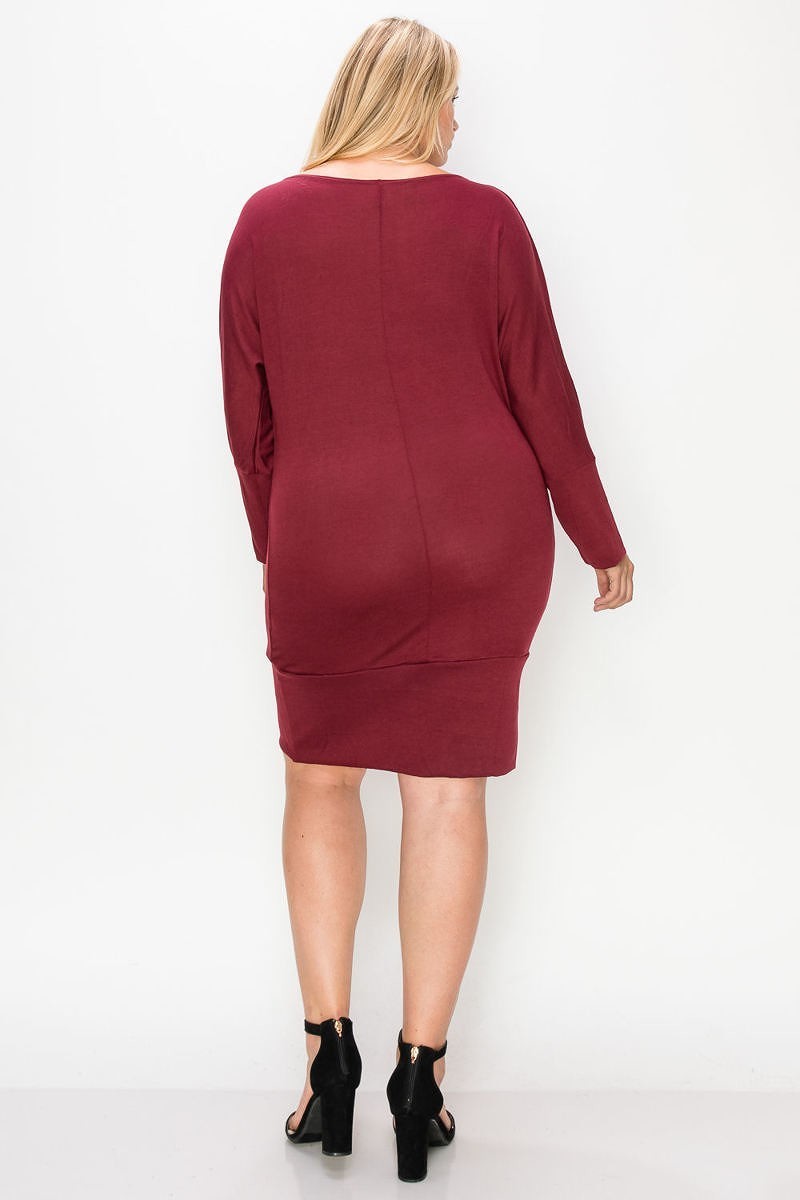 Draped Neck Long Sleeve Dress - LOLA LUXE